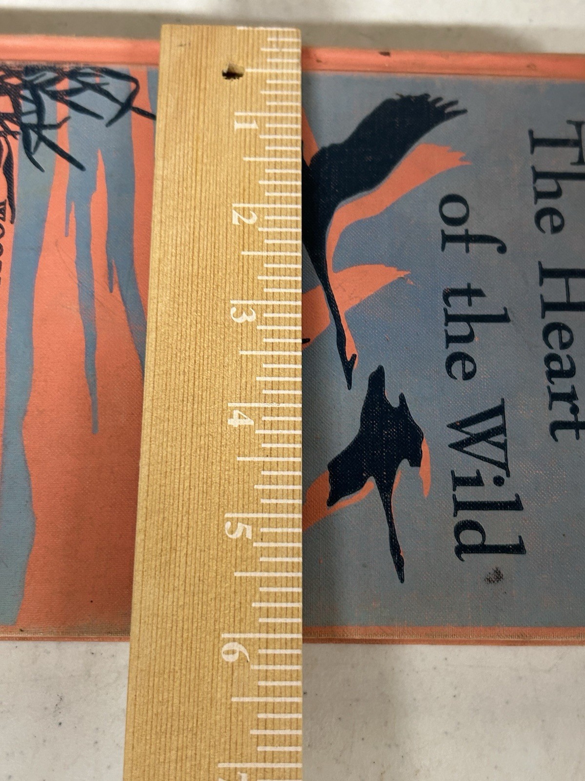The Heart of the Wild Woodland Frolics Series 1955 School Reading Textbook Texas