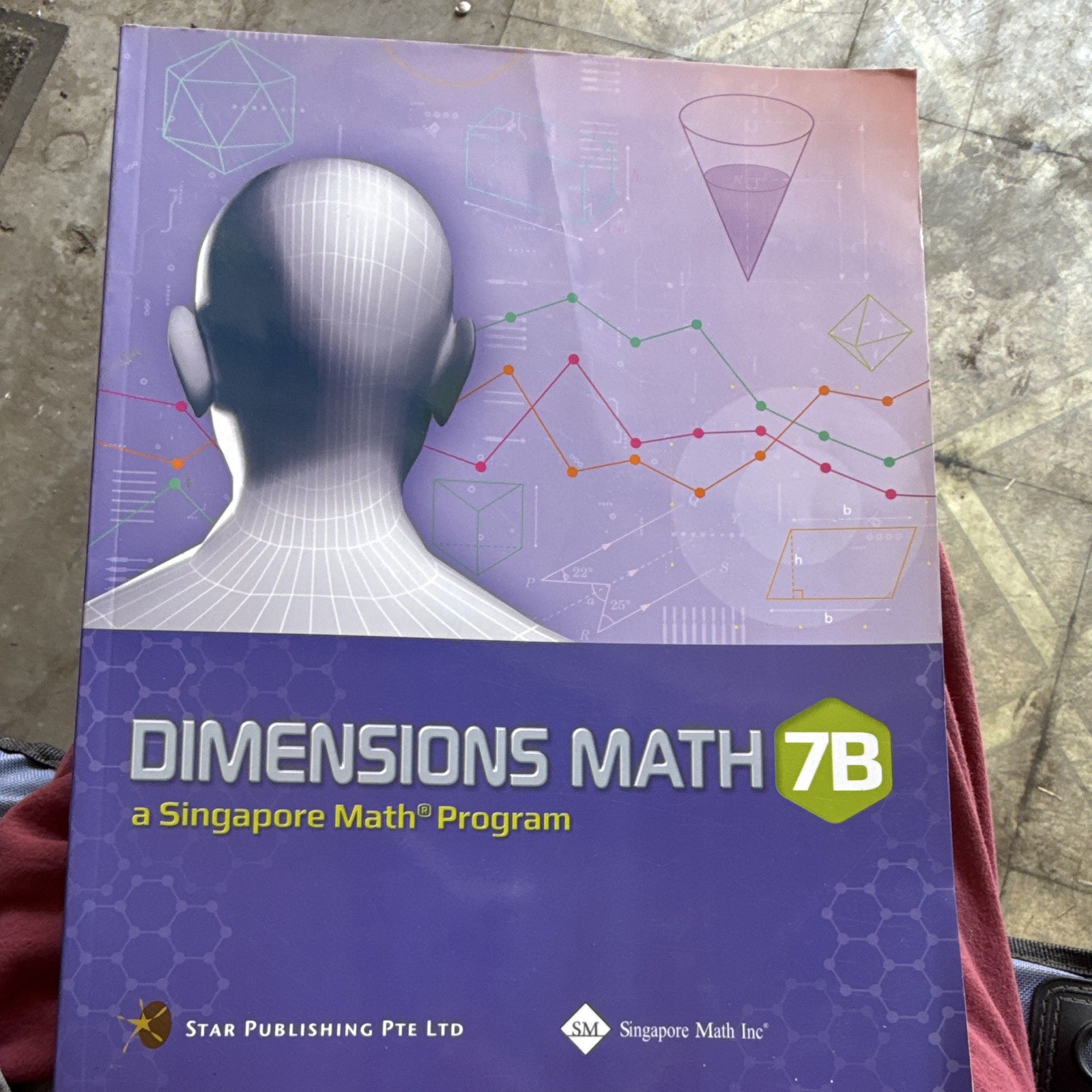 Singapore Math Inc. Dimensions Math 7B Textbook Paperback 2018 Illustrated 248p