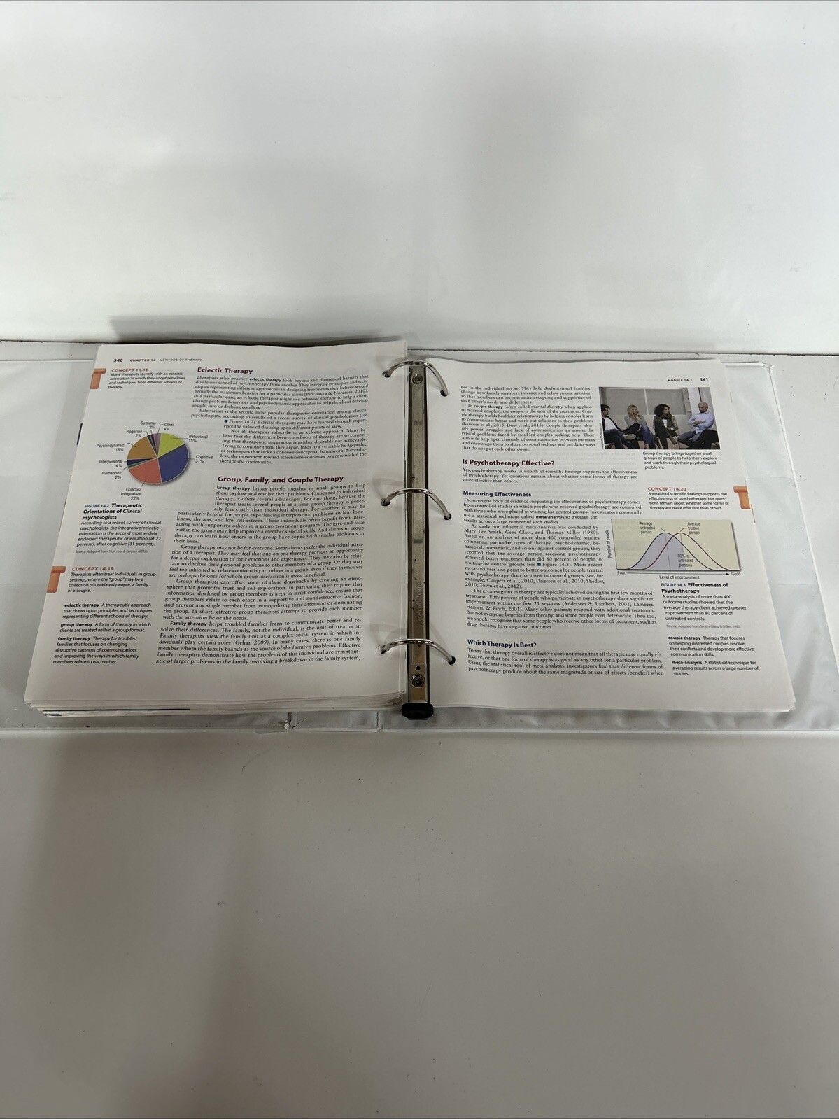 Essentials of Psychology: – Loose Leaf Bound 3 Ring Binder, by Jeffrey S Nevid