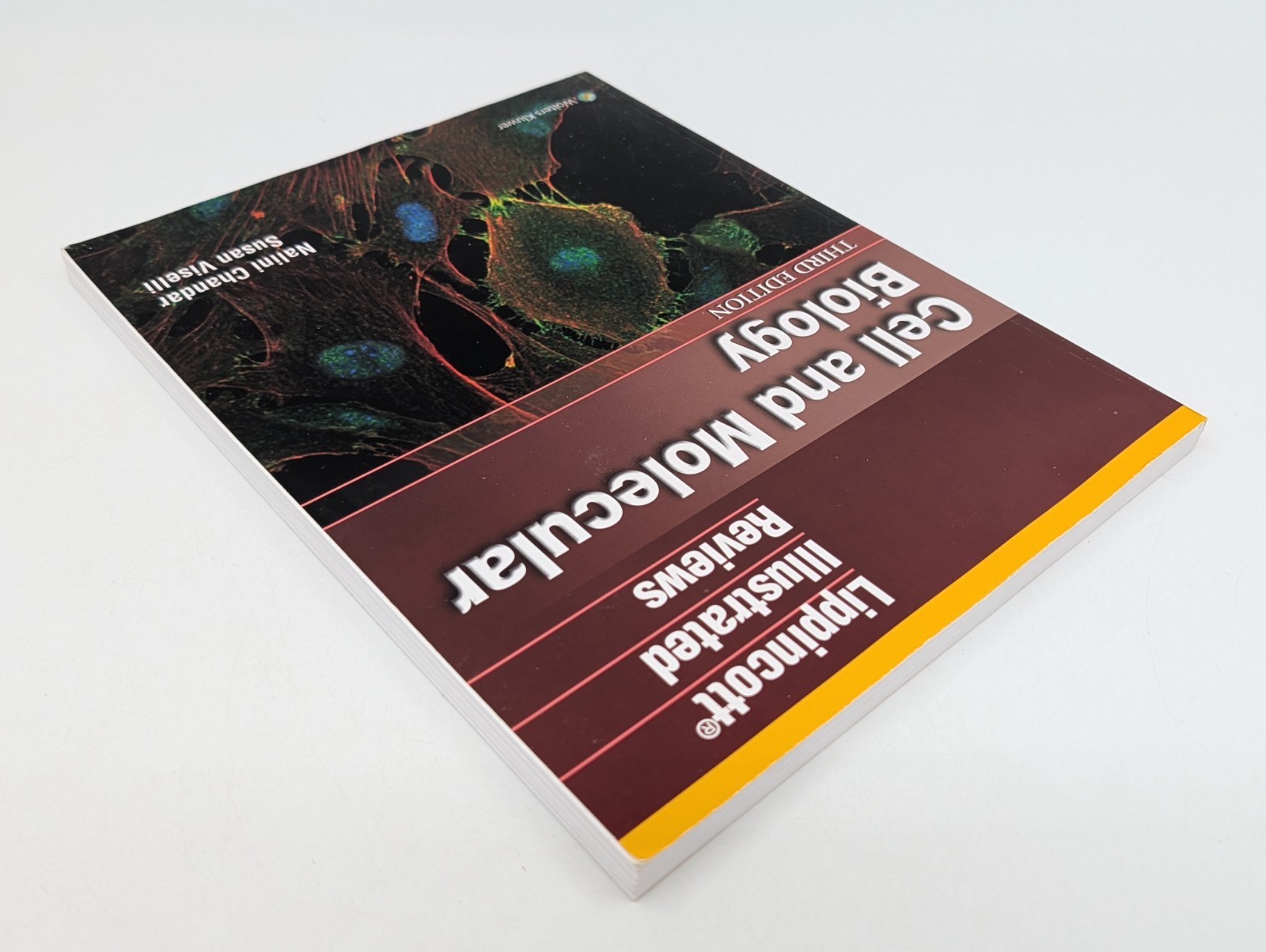 Lippincott Illustrated Reviews: Cell and Molecular Biology – THIRD EDITION