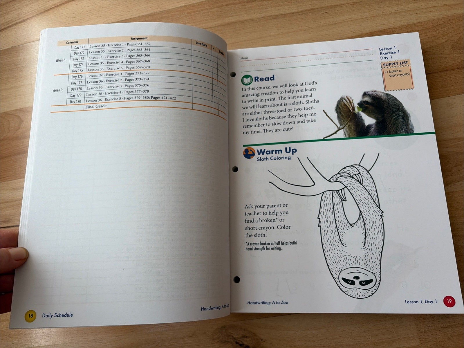 New Handwriting: A to Zoo Master Books Homeschool Curriculum Grades 1 and 2