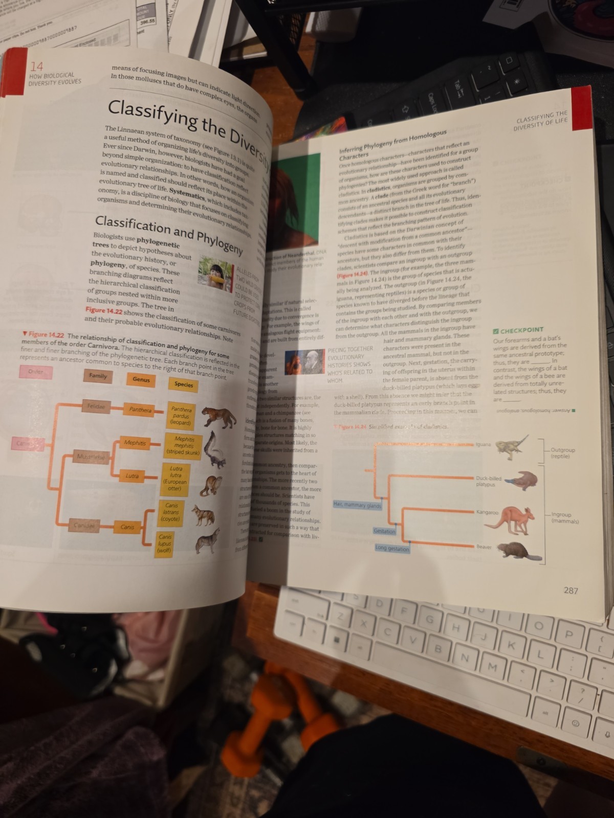 Campbell Essential Biology with Physiology 6th Edition by Simon, Dickey, Reece