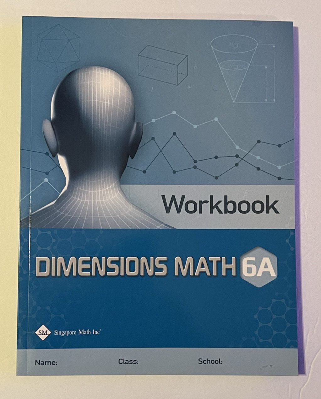 Dimensions Math Workbook 6A Singapore Math