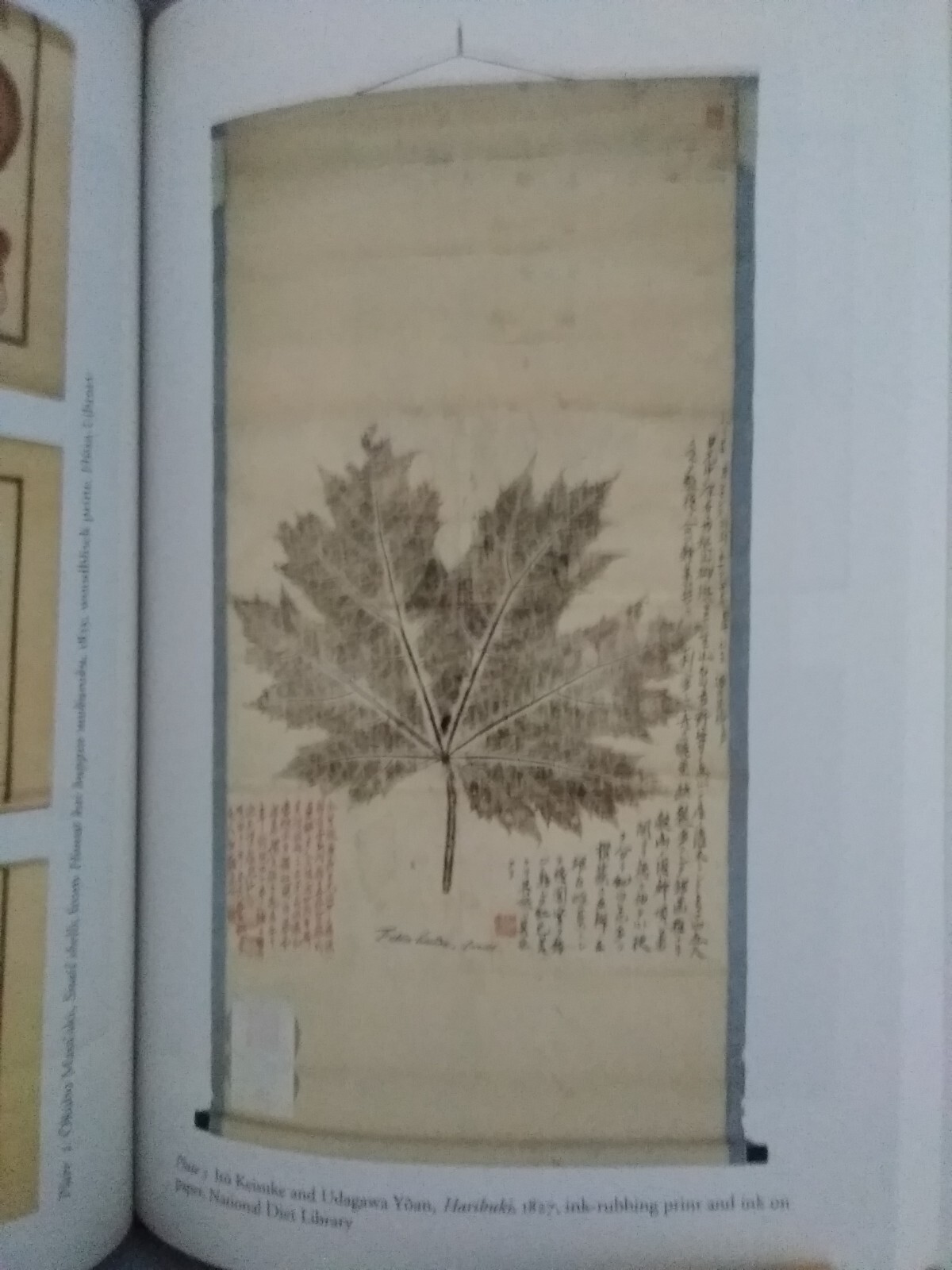 The Premise of Fidelity: Science, Visuality, Representing Real 19th C. Japan