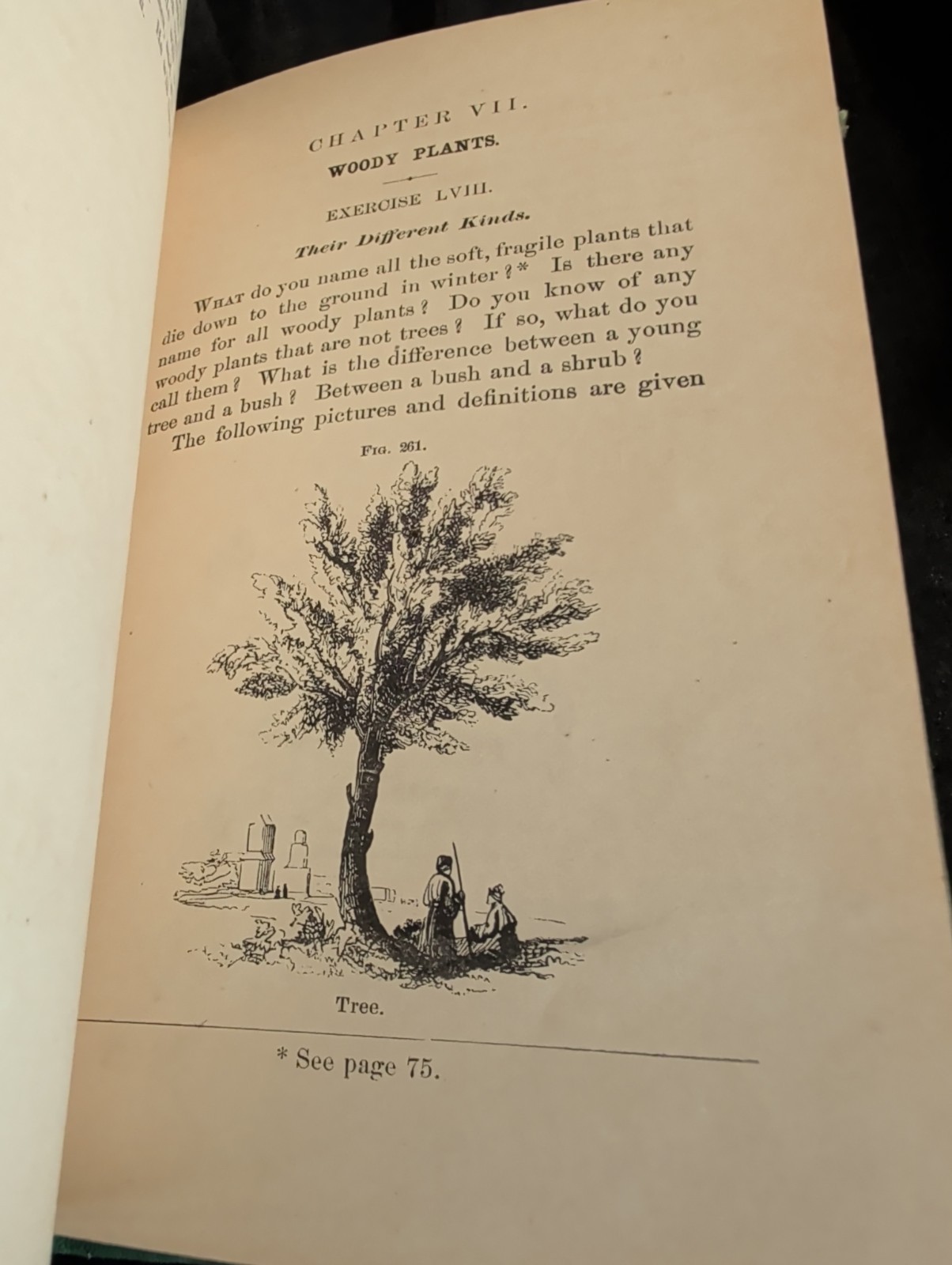 1872 First Book of Botany by Eliza A Youmans, Illustrated Hardcover 202 pages