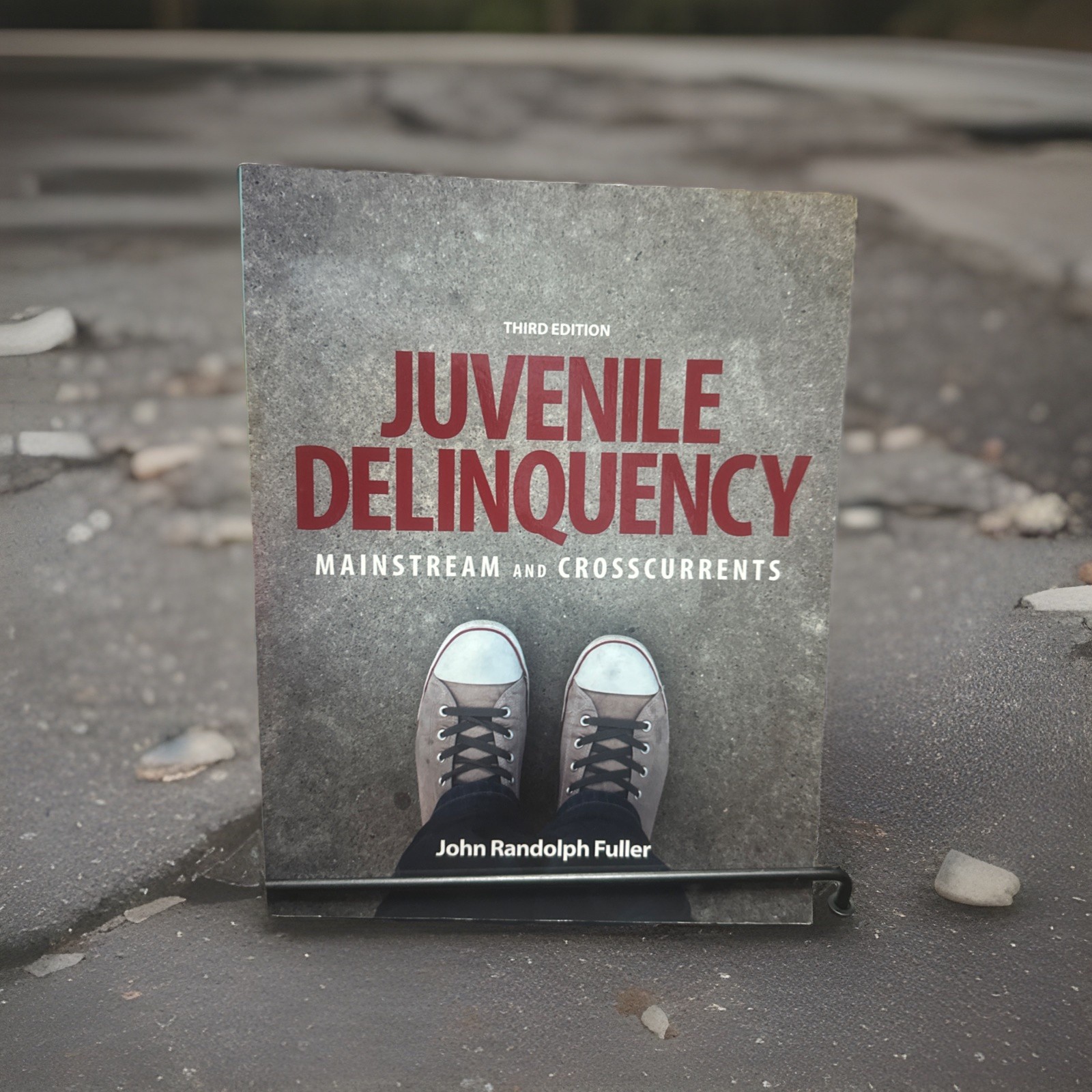 Juvenile Delinquency: Mainstream and Crosscurrents