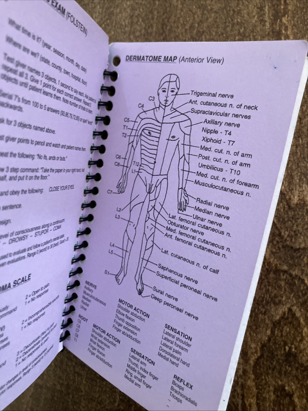 Maxwell Quick Medical Reference by Robert Maxwell (2011, Spiral)