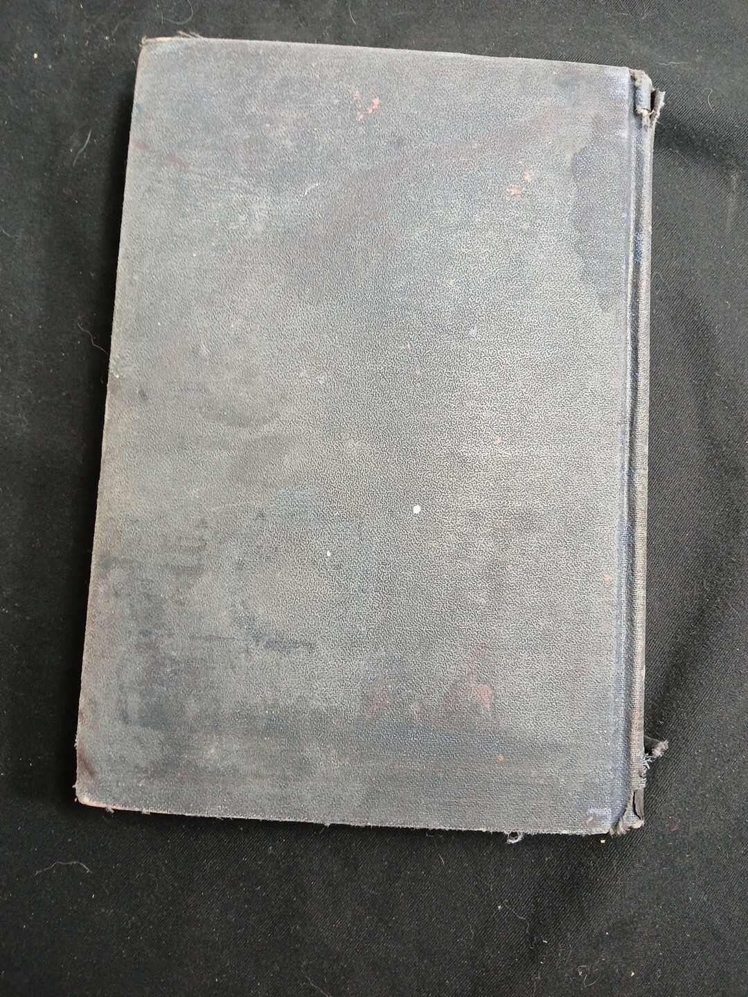 Civics and Citizenship Hardcover Henry Noble Sherwood 1929 First Edition/67j