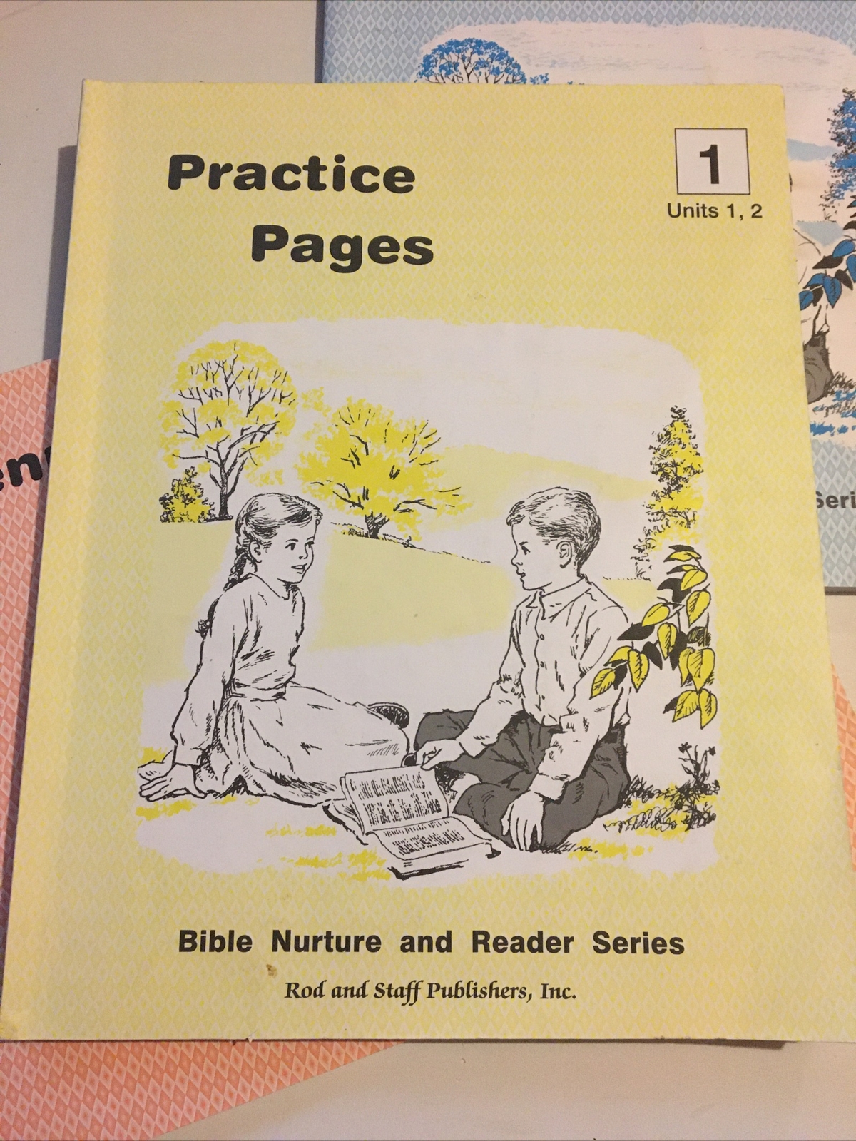 Rod & Staff Lot Grade 1 Practice Pages Penmanship Phonics Workbook Student Set