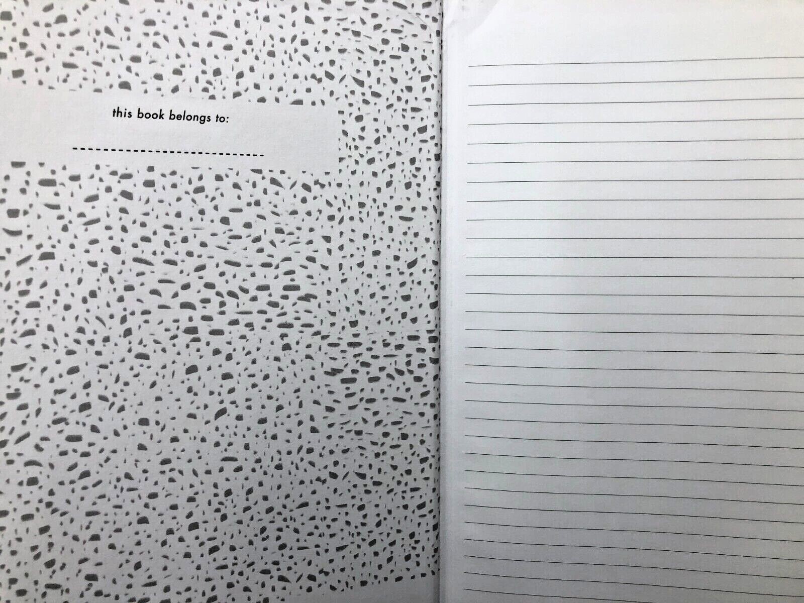 2 x Denik Ice Cream Swirl Hard Cover Note book, 192 lined Natural Paper pages