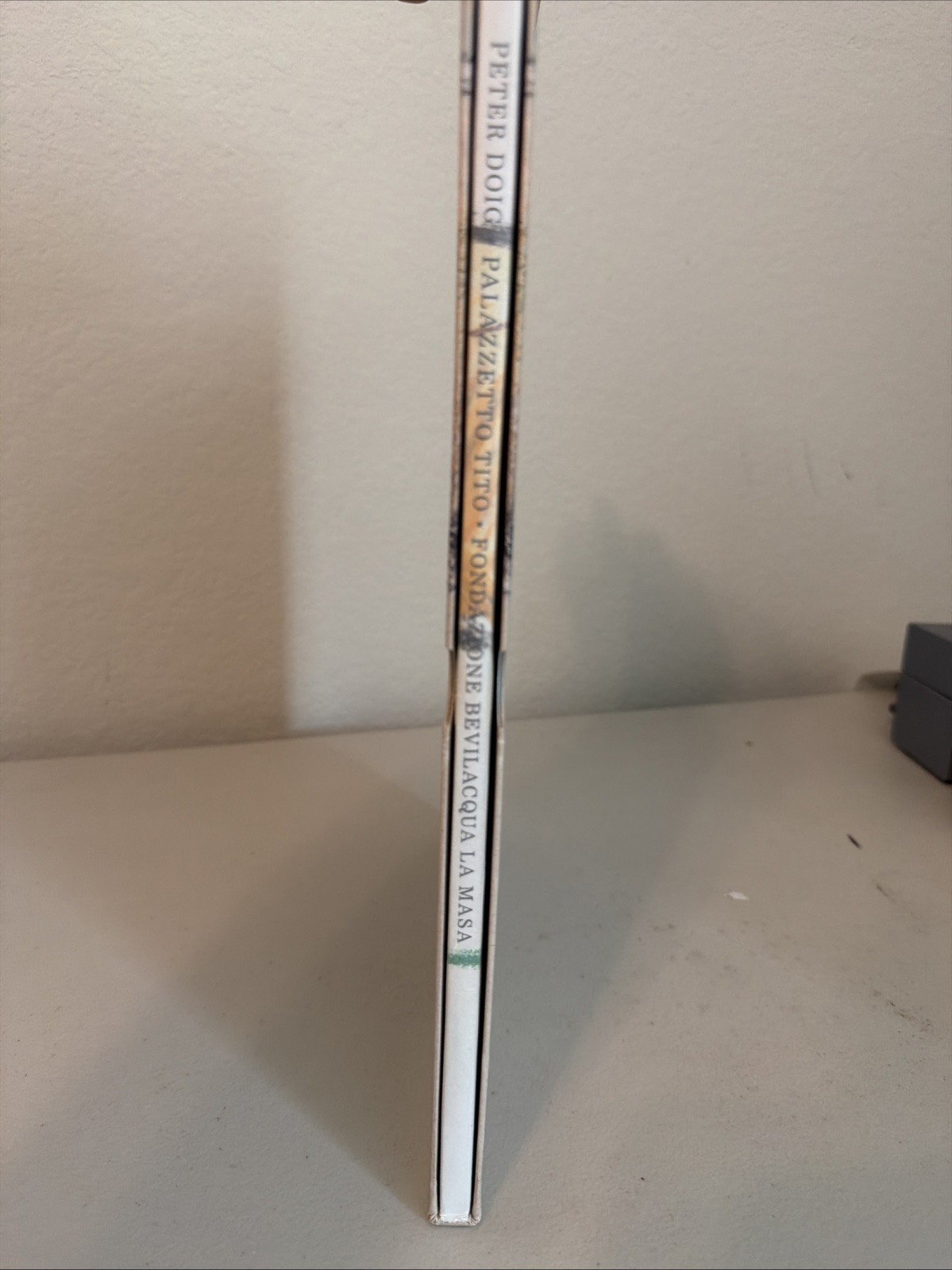 Peter Doig: Palazzetto Tito – Fondazione Bevilacqua La Masa, 2015, Slipcase
