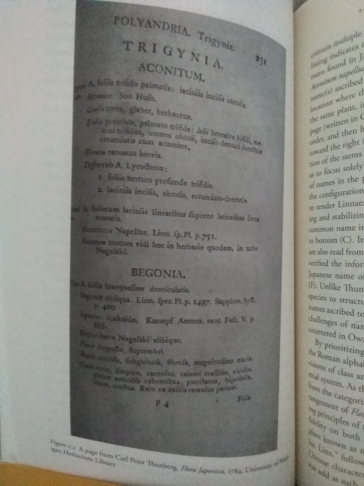 The Premise of Fidelity: Science, Visuality, Representing Real 19th C. Japan