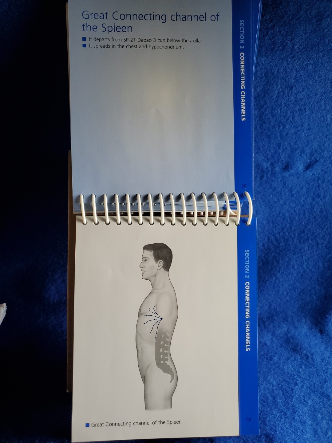 The Channels of Acupuncture Cards Giovanni Maciocia 2006 Elsevier Set