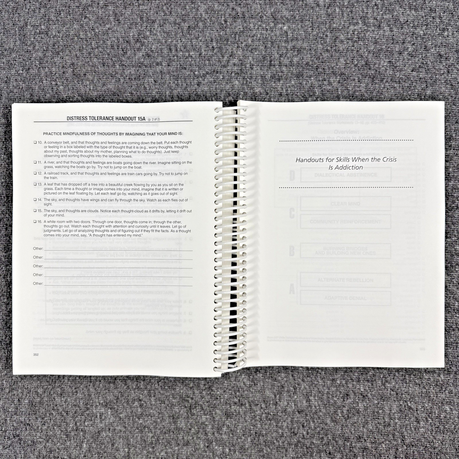 DBT Skills Training Handouts and Worksheets by Marsha M. Linehan, Like New