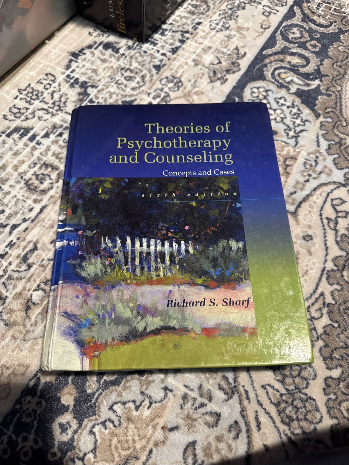 Theories of Psychotherapy & Counseling: Concepts and Cases 6th Edition *GOOD*