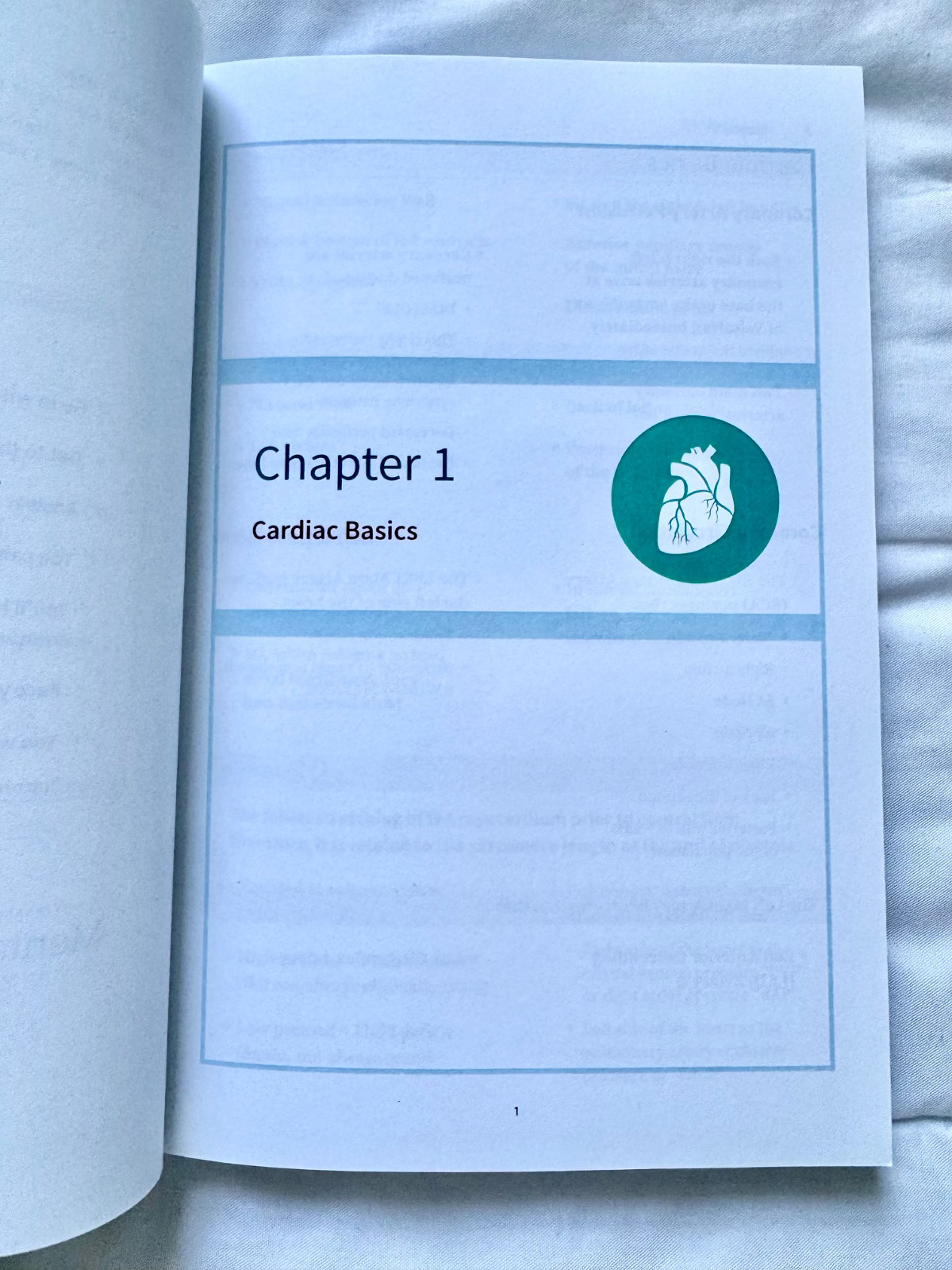 Ace the CMC! You Can Do It! by Nicole Kupchik (2018, Trade Paperback) Nursing