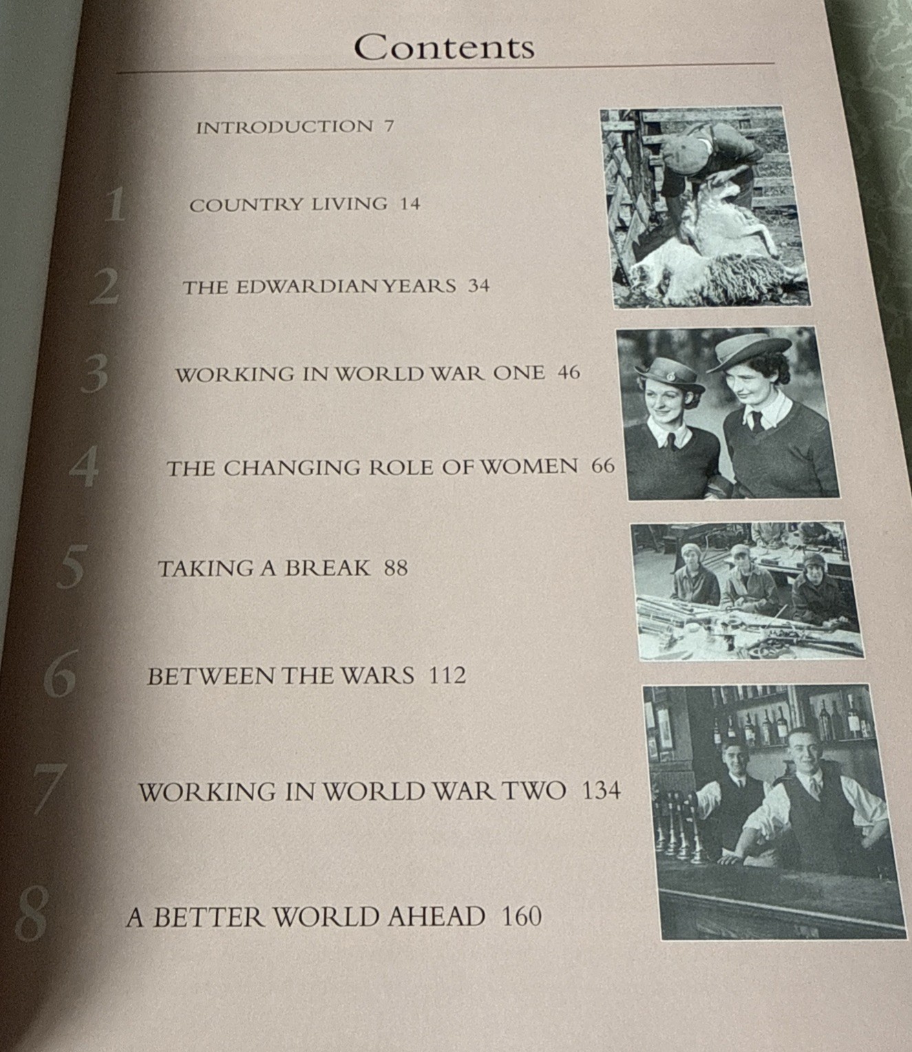 Working Life In Britain by Janice Anderson (Hardcover, 2007). 192 Pages Like New
