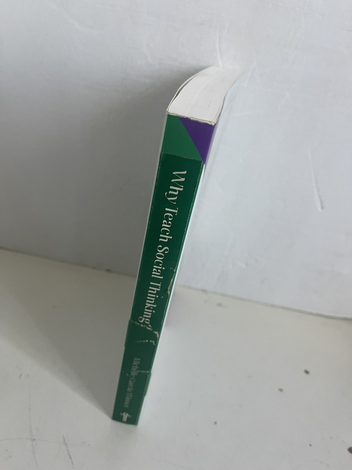 Why Teach Social Thinking? by Michelle Garcia Winner (2013, Trade Paperback)