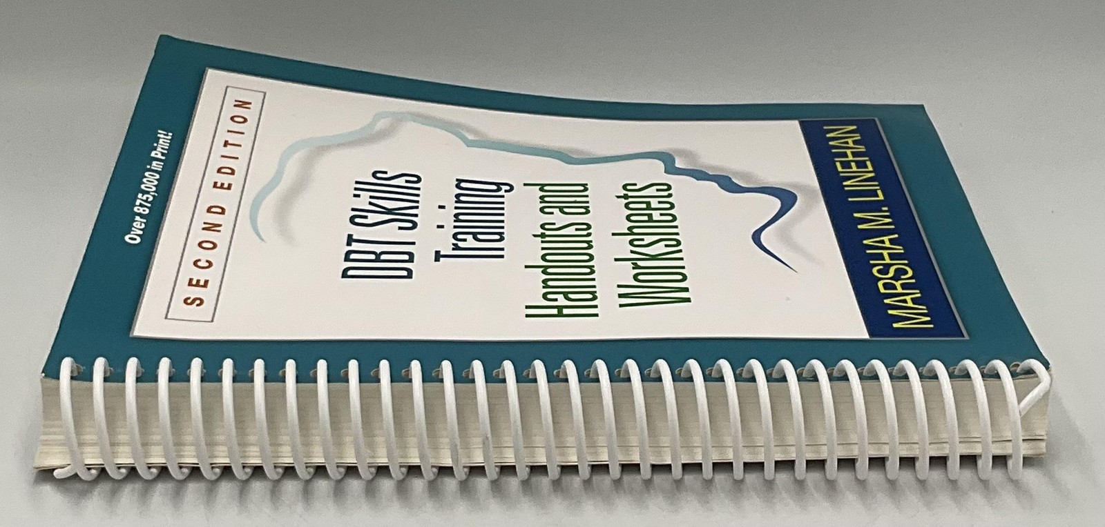 DBT Skills Training Handouts & Worksheets 2nd Ed Linehan Guilford Korea Teal