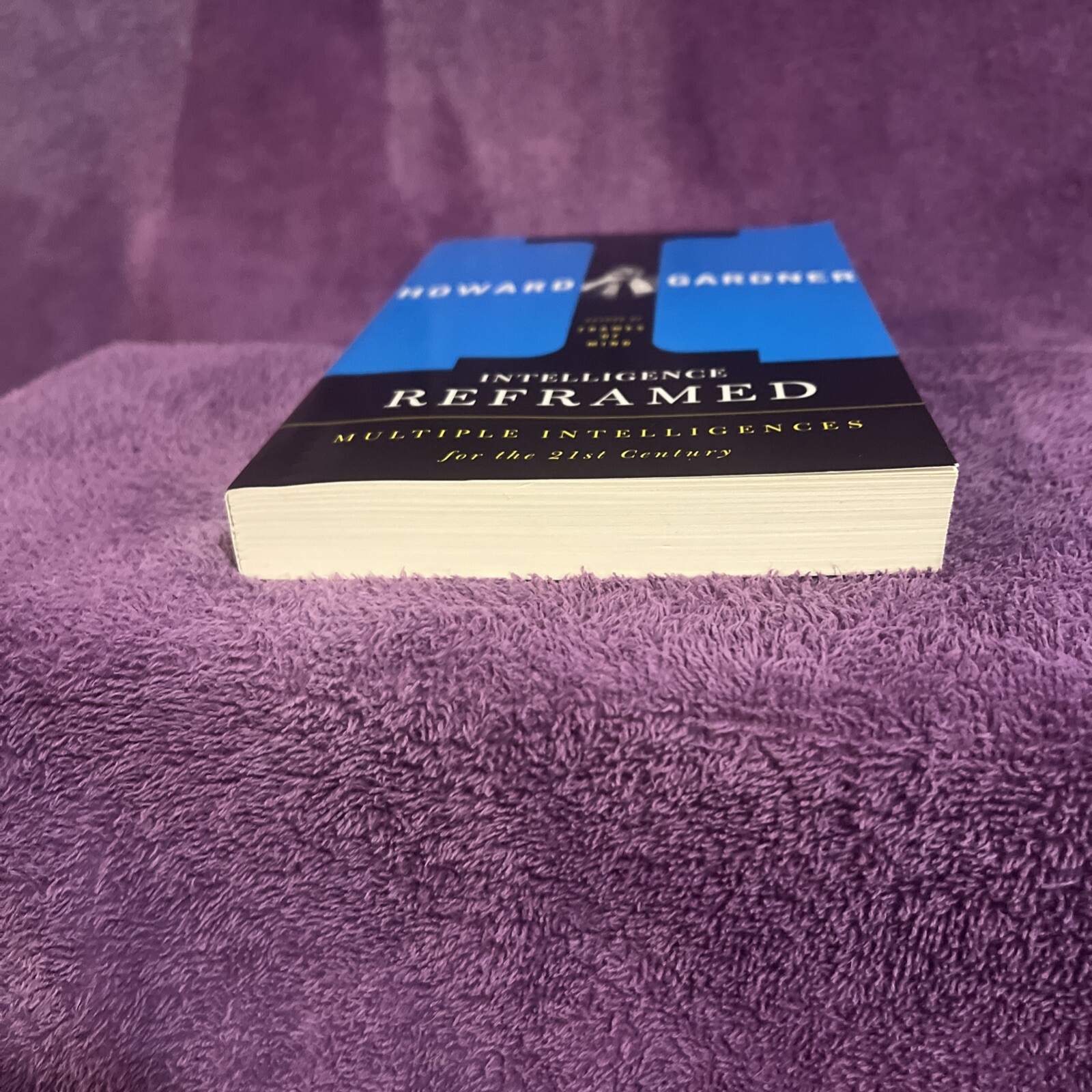 Intelligence Reframed: Multiple In- paperback, 0465026117, Howard E Gardner, new