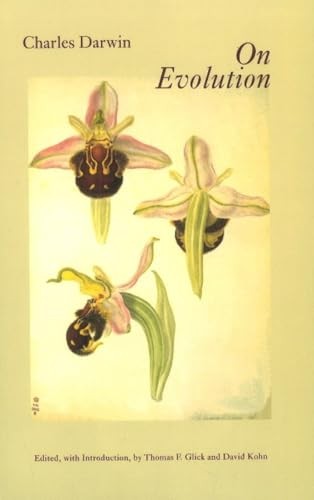 On Evolution: The Development – VERY GOOD