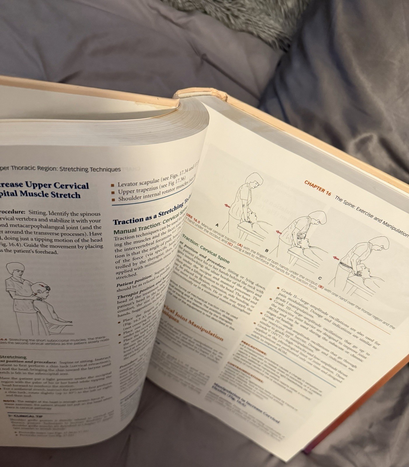 F.A. Davis Therapeutic Exercise: Foundations & Techniques 8th Ed 2017 PB Kisner