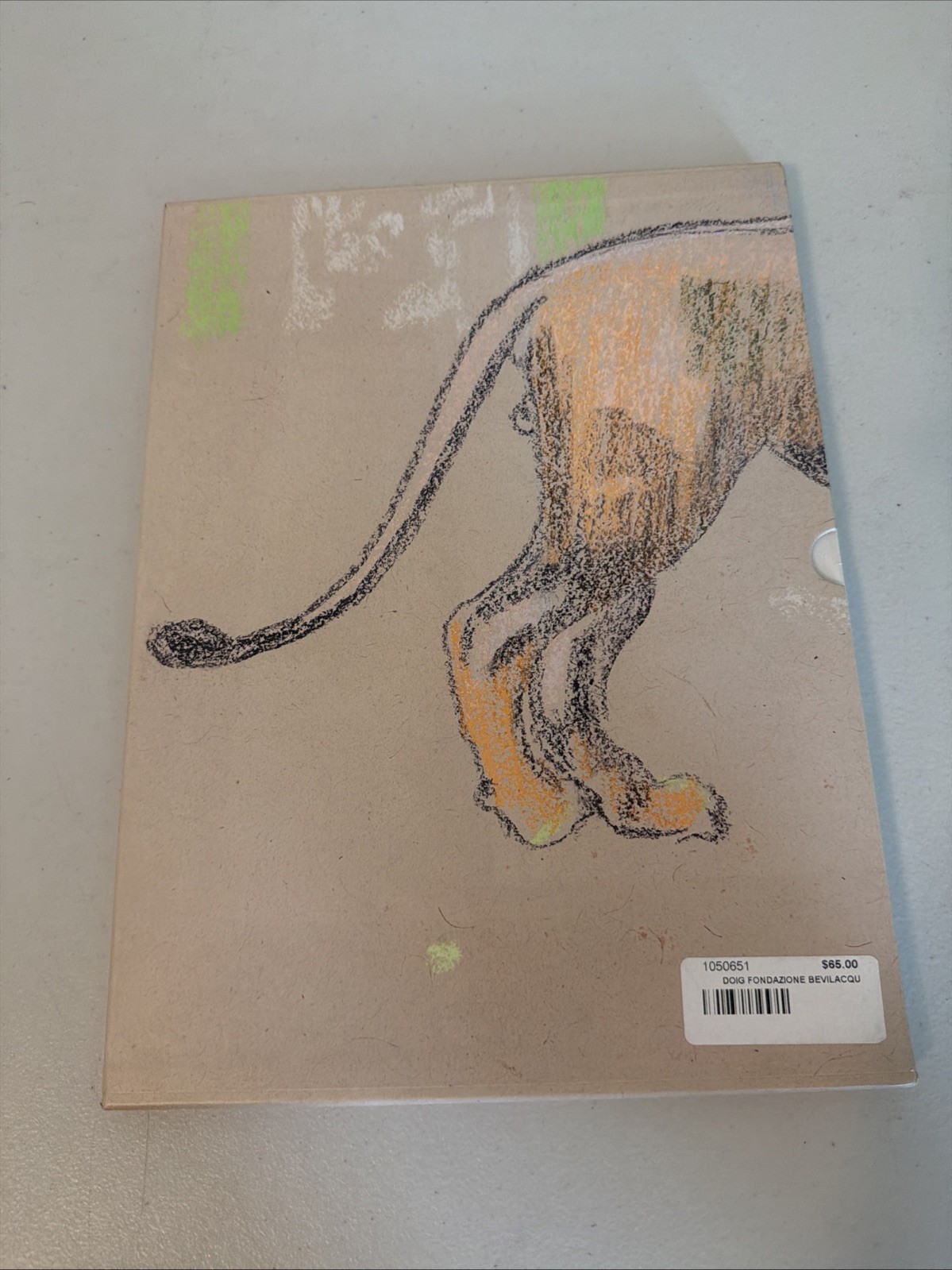Peter Doig: Palazzetto Tito – Fondazione Bevilacqua La Masa, 2015, Slipcase