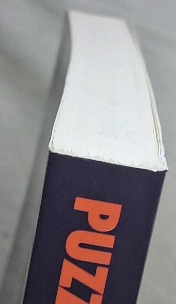 Puzzles and Paradoxes in Economics Mark Skousen Kenna C. Taylor Ttade PB 1998 EE