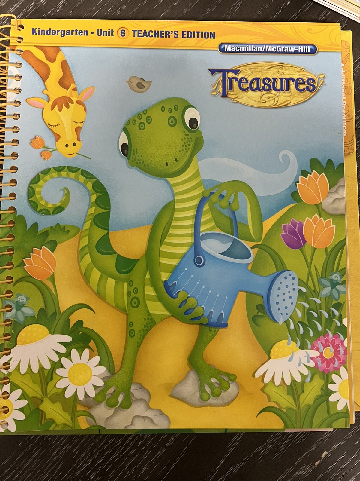 Macmillan McGraw Hill Treasures Grade K Kindergarten Teacher’s Edition 1-8 & 10