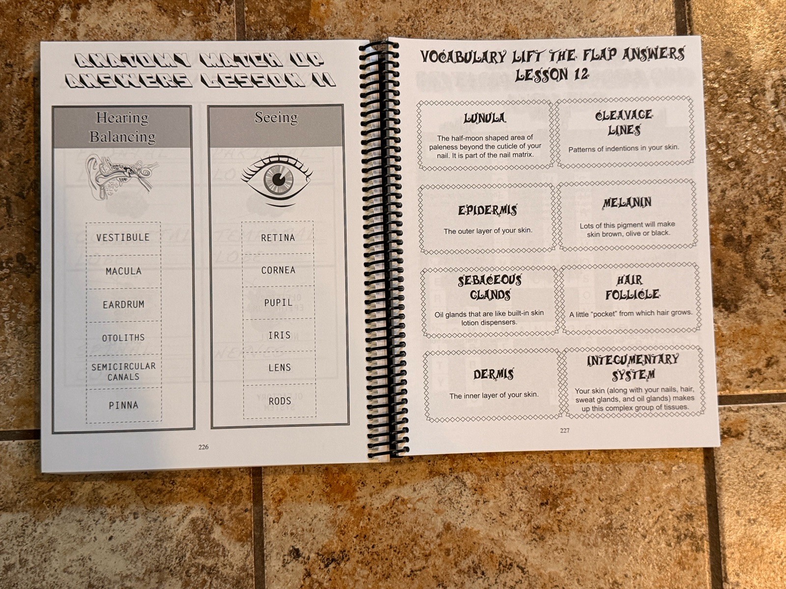 Apologia Junior Anatomy Notebooking Journal Exploring Creation Spiral Fulbright