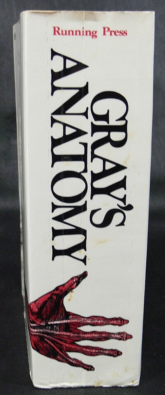 GRAY’S ANATOMY Soft Cover Book + Illustrations/Pickering/Howden-Running Press Rx