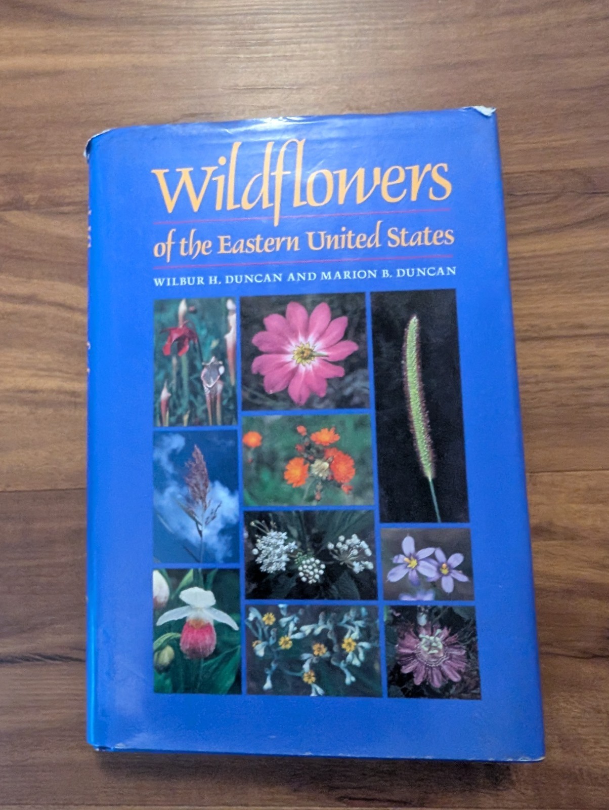 Wildflowers of the Eastern United States by Wilbur H Duncan Hardcover