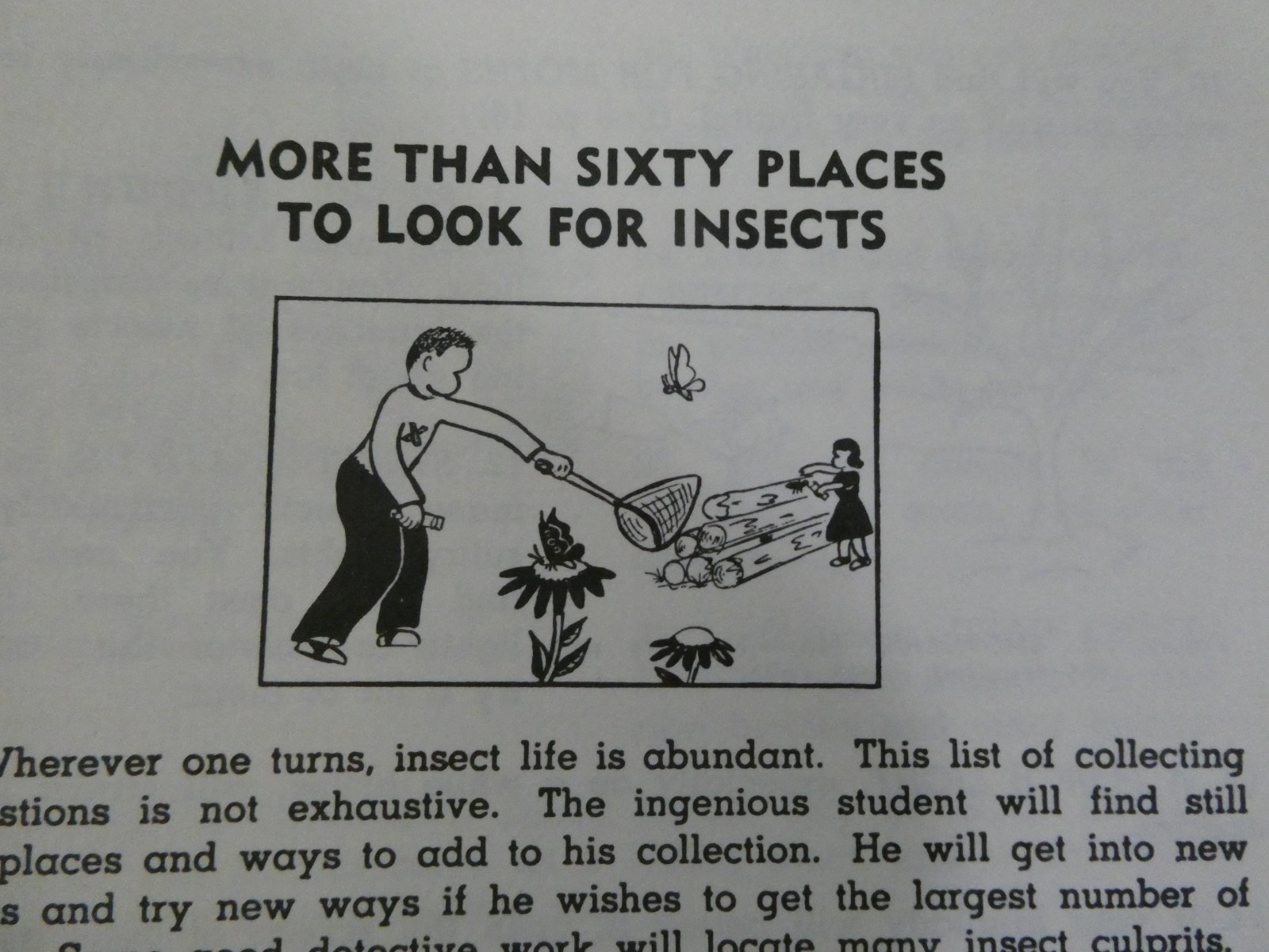 HOW TO KNOW THE INSECTS PUB 1947 SPIRAL BOUND HARD PAPER COVER 205 PAGES