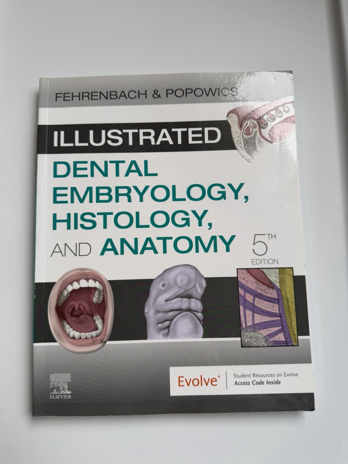 Illustrated Dental Embryology, Histology, and Anatomy by Margaret J. Fehrenbach