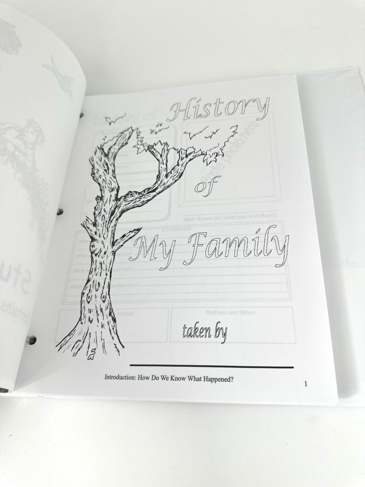 Story Of The World: Volume 1 Student Pages and Tests with Answer Key, In Binder