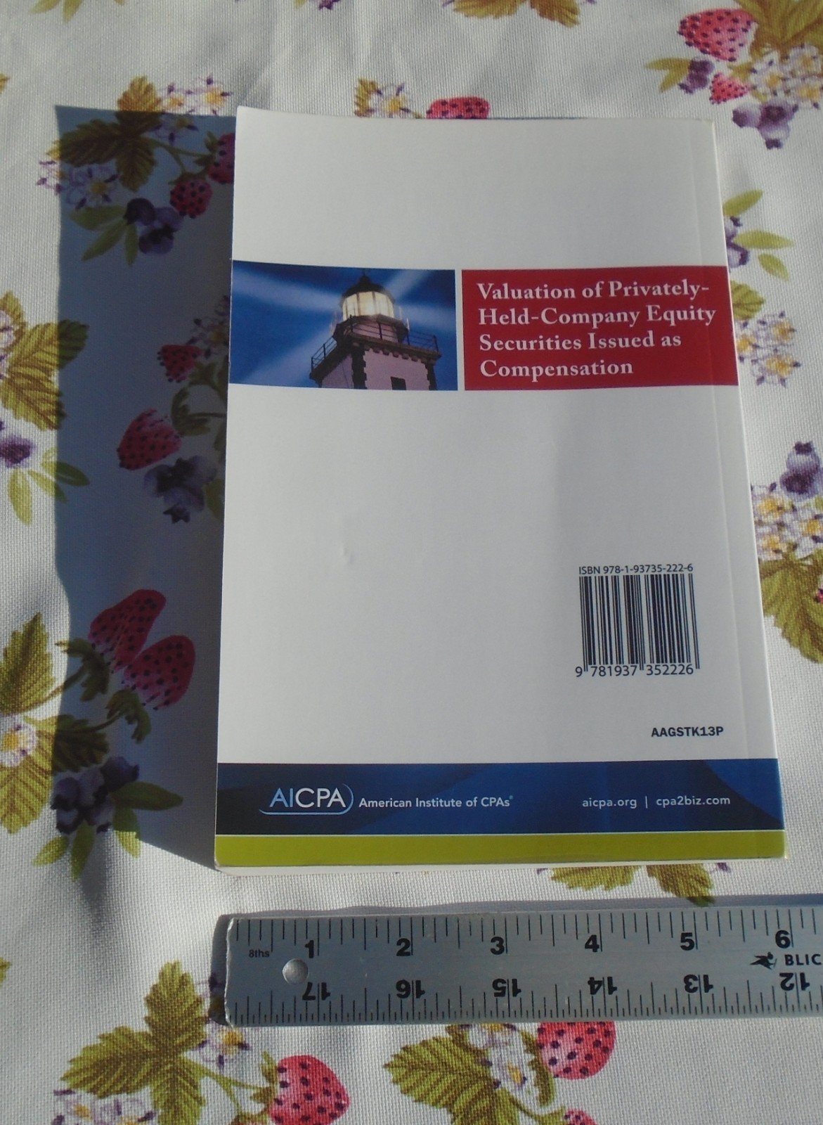 Accounting and Valuation Guide: Valuation of Privately-Held-Company Equity Secur