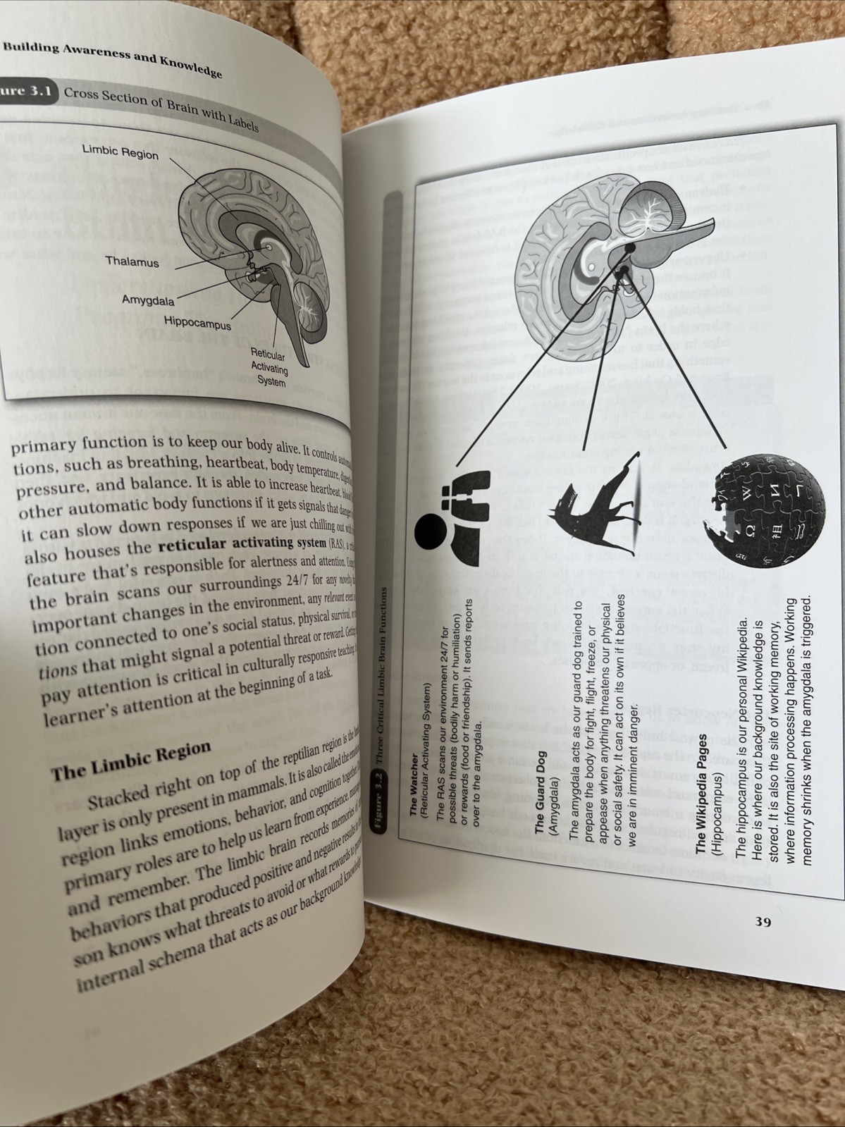 Culturally Responsive Teaching and the Brain : Promoting Authentic Engagement…