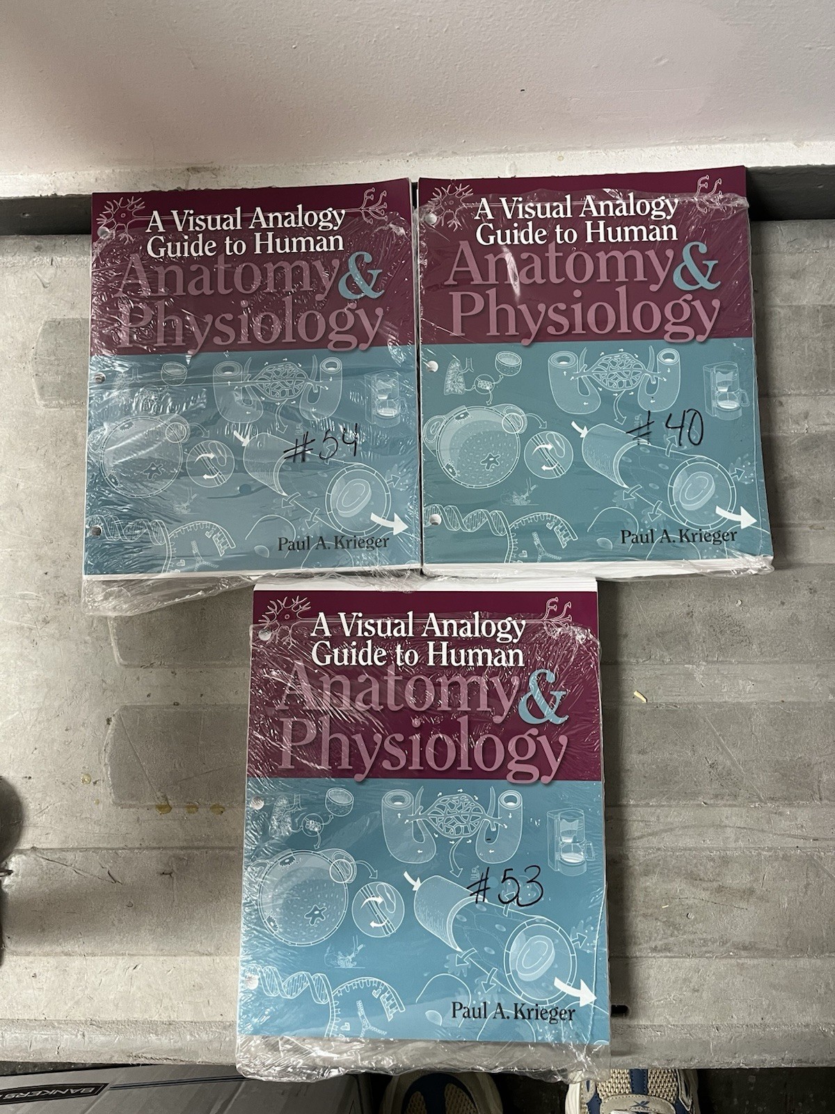 A Visual Analogy Guide to Human Anatomy & Physiology Paperback by Paul Krieger