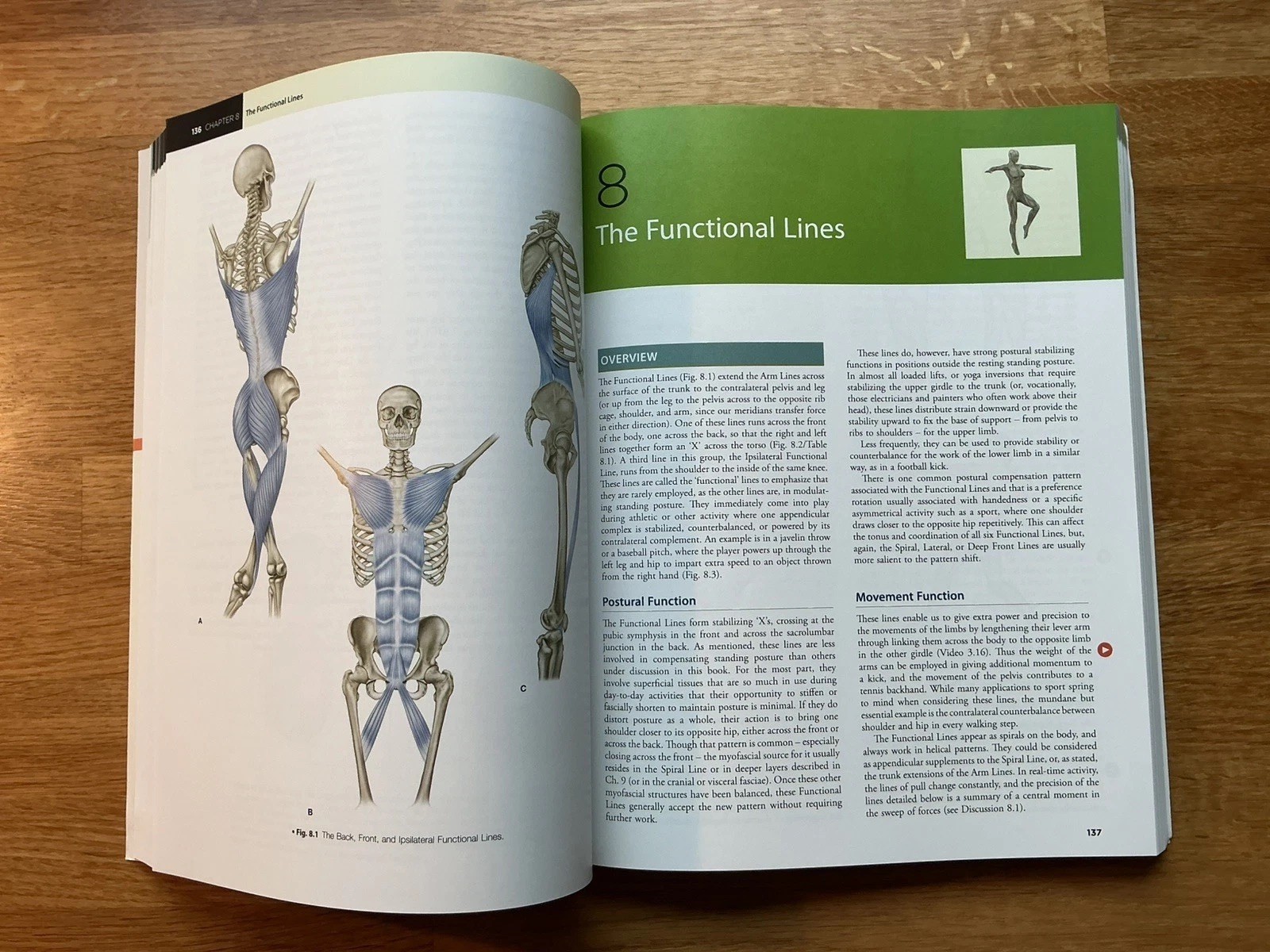 Anatomy Trains by Thomas W. Myers 9780702078132 Structural integration Rolfing