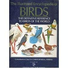 The Illustrated Encyclopedia of Birds: The Definitive Reference to Birds of …
