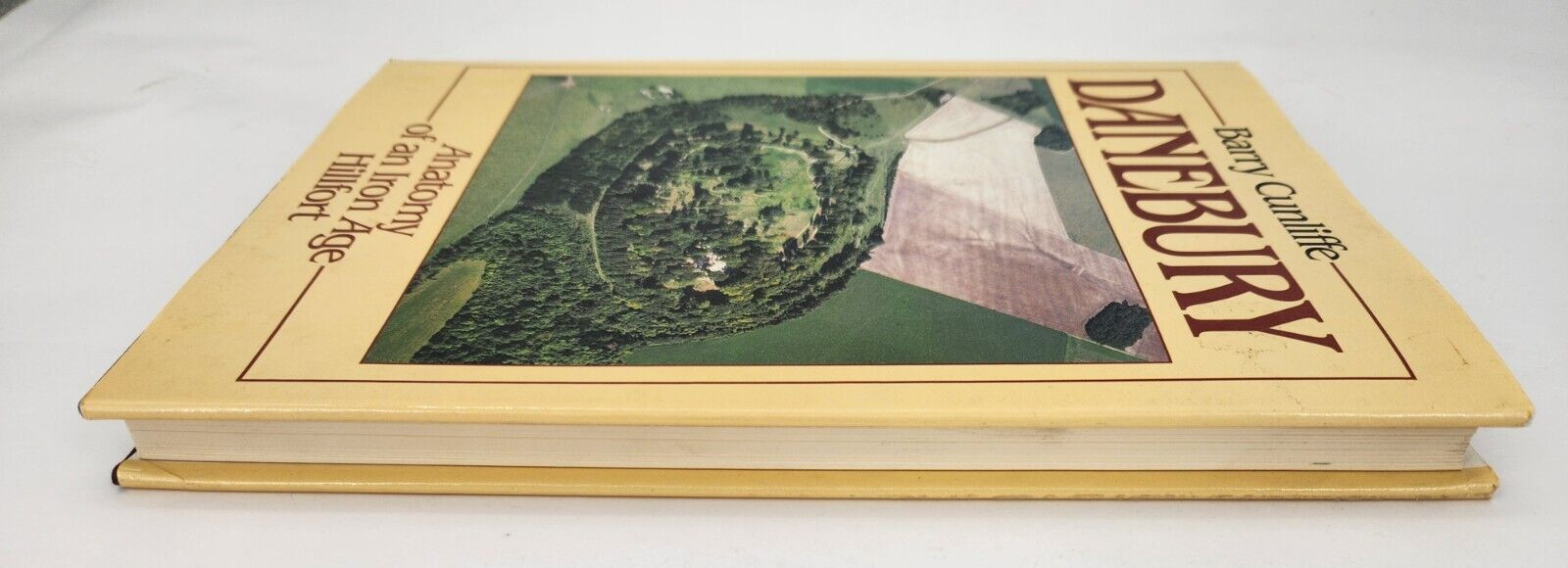 Danebury: Anatomy of an Iron Age Hillfort (Batsfo… by Cunliffe, Barry Hardback