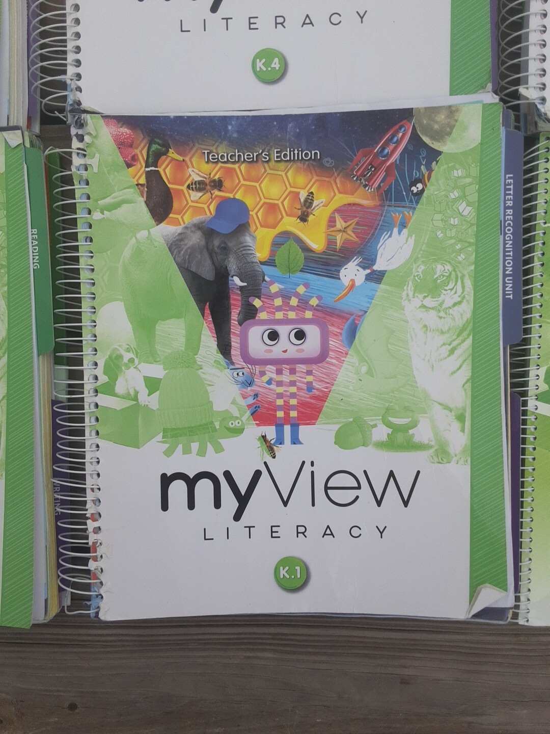 SAVVAS My View Literacy Gr K-Set of 5 Teacher’s Ed K.1,K.2,K.3, K.4, K.5 & more.