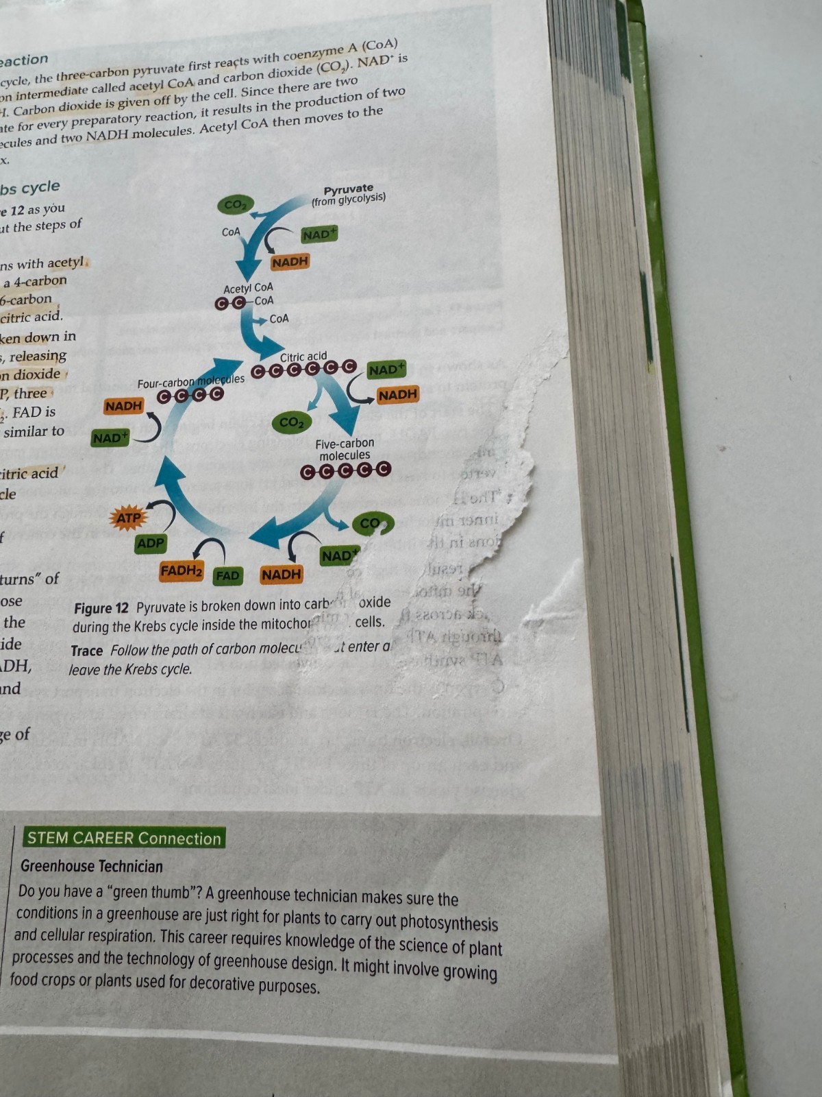 McGraw-Hill Inspire biology, Very good, one slightly ripped page, No doodles,
