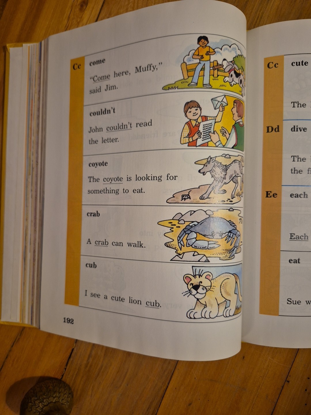 In The Wild Reading Textbook – Reading Express Early Readers – HC