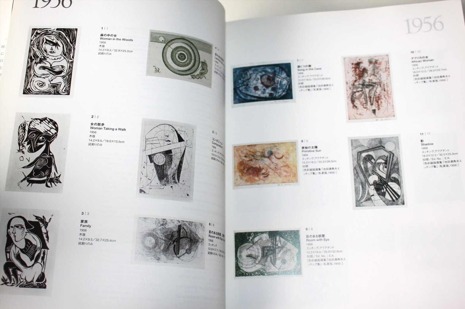 Rare The Art of Mitsuo Ikeda: Masterpiece Collection Art Book Printmaking & More
