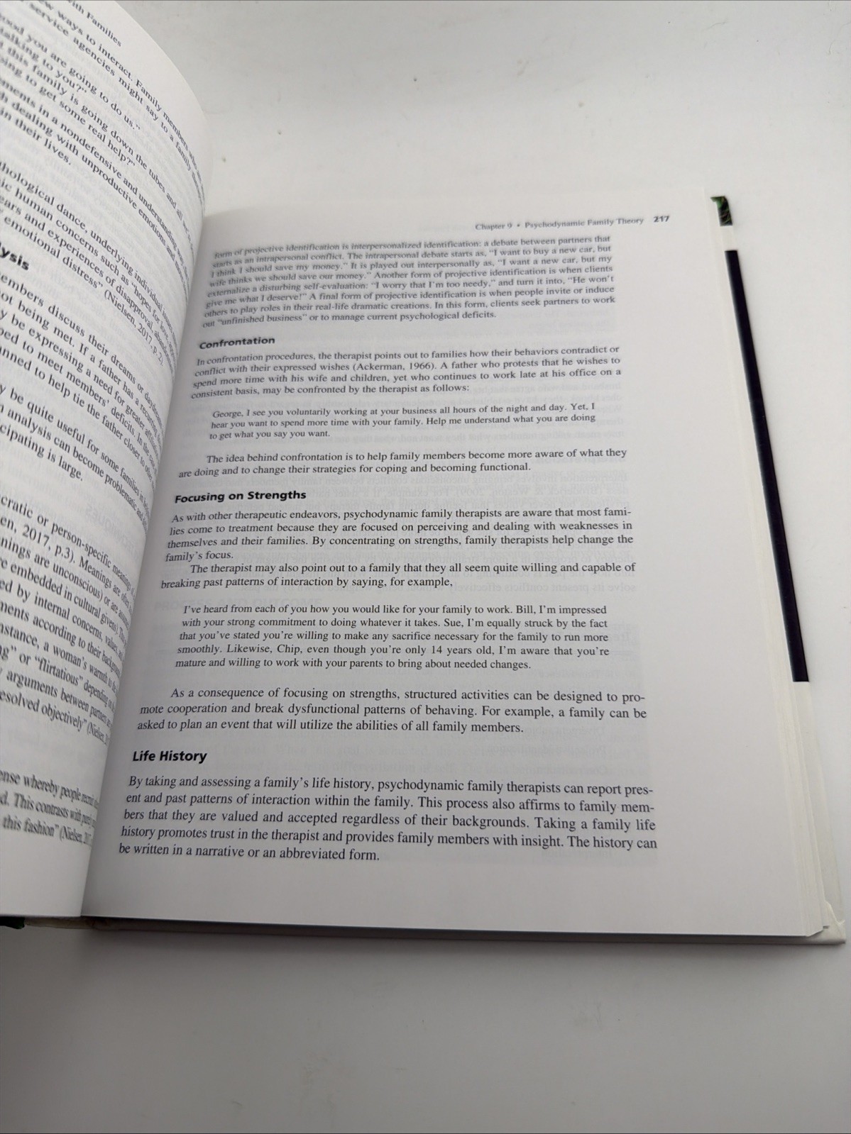 Family Therapy : History, Theory, and Practice Paperback Samuel G