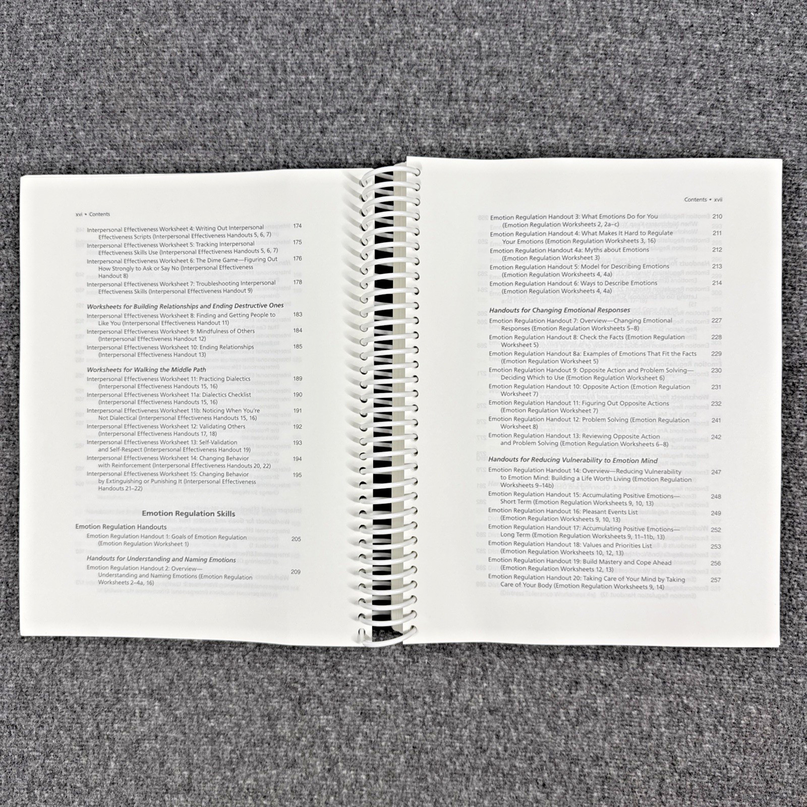 DBT Skills Training Handouts and Worksheets by Marsha M. Linehan, Like New