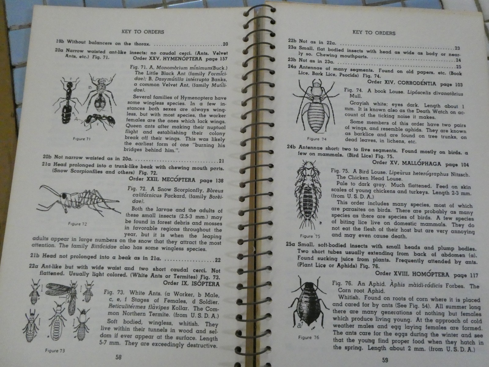 HOW TO KNOW THE INSECTS PUB 1947 SPIRAL BOUND HARD PAPER COVER 205 PAGES