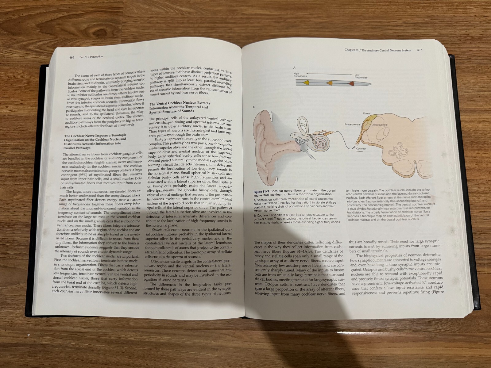 Principles of Neural Science, Fifth Edition by Eric Kandel, Thomas Jessell,…