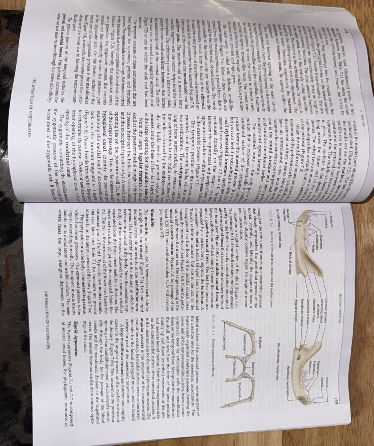 Dissection of Vertebrates by Dino Pulerà and Gerardo De Iuliis (2010, Trade…